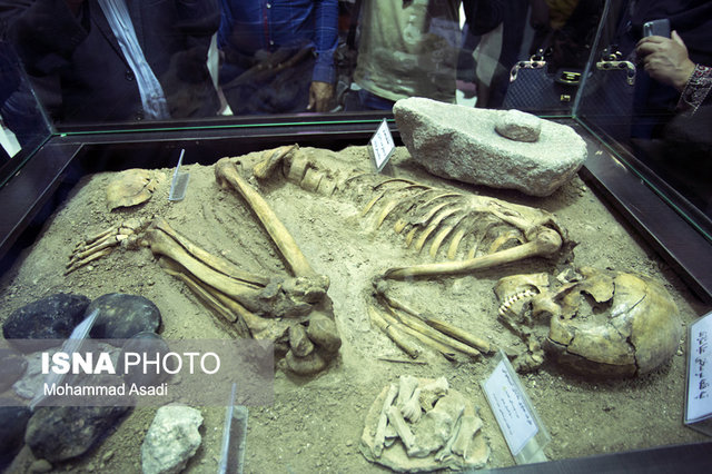 رونمایی-از-اسکلت-مرد-۷۵۰۰-ساله-کشف-شده-در-روستای-سرسختی-در-شازند-اراک-که-در-حمام-چهار-فصل-رونمایی-شد-۷مهر۹۵-گیچ