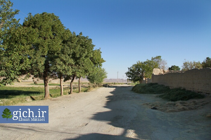 عوارض ورود خودرو به طبیعت
درختان روستای گیلی در شهر اراک استان مرکزی