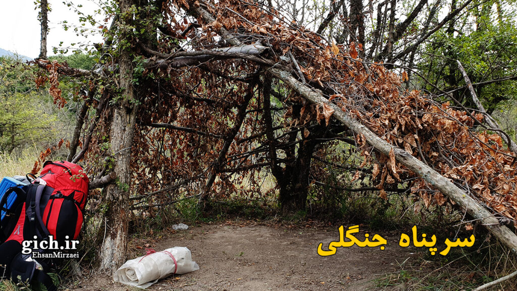 تکنیک های بقا در طبیعت با دست خالی - سرپناه جنگلی - مجله گیچ - عکاس احسان میرزائی