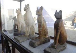 کشف حیوانات مومیایی در مصر مجله گیچ (4)