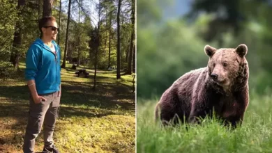 خرس جوان ایتالیایی را کشت مجله گیچ