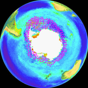 زیستگاه-کریل-قطب-جنوب-در-اقیانوس-منجمد-جنوبی-مجله-گیچ