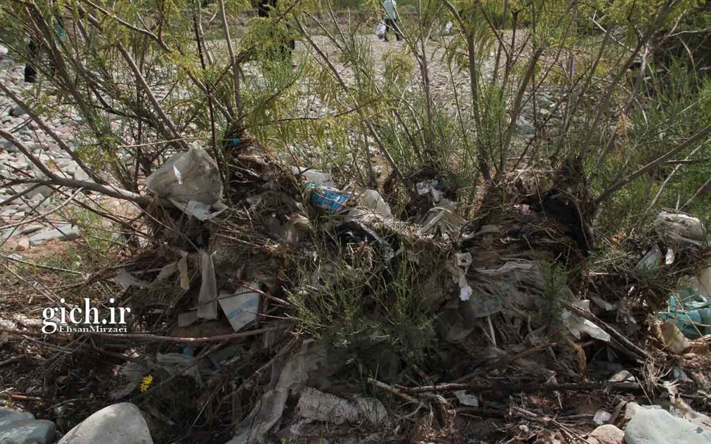 انبوه پلاستیک گیر کرده در شاحه و برگ درختچه | پاکسازی بستر جاجرود در پارک ملی خجیر، روستای سنجریون | پنج‌شنبه ۷ اردیبهشت ۱۴۰۲ | عکاس احسان میرزائی | مجله گیچ
