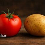 راز شگفت انگیز سیب زمینی - گوجه فرنگی - مجله گیچ