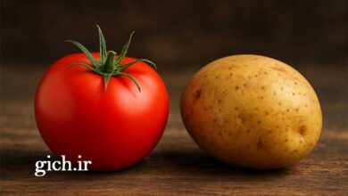 راز شگفت انگیز سیب زمینی - گوجه فرنگی - مجله گیچ
